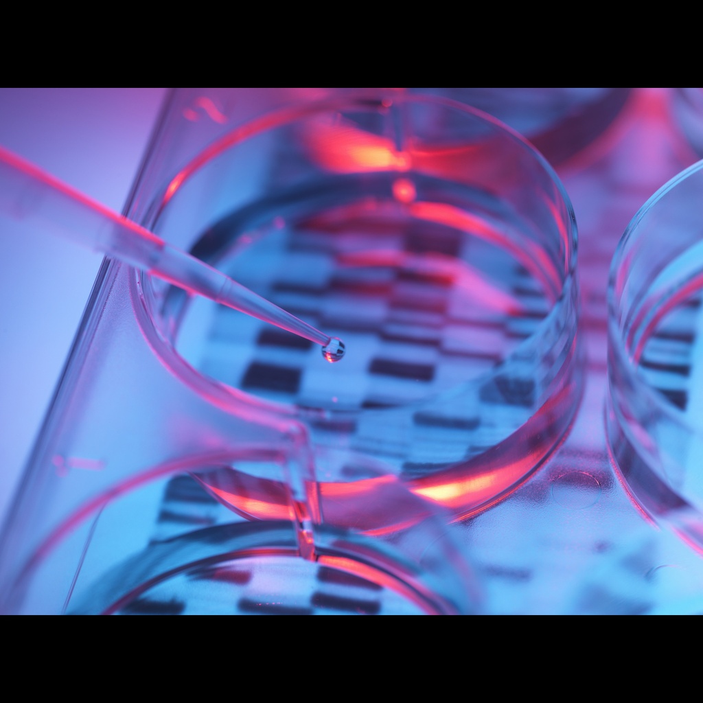 1kb Plus Opti-DNA Marker, 500 μl/100 loads