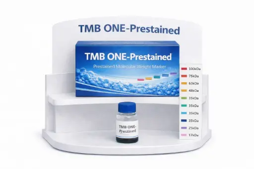 [4430H] TMB ONE-Prestained