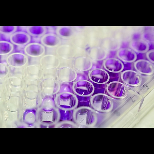 [015-500-560-CP5] Borrelia burgdorferi VlsE Csize:6 peptide coated antigen plates for ELISA, 5x96 wells