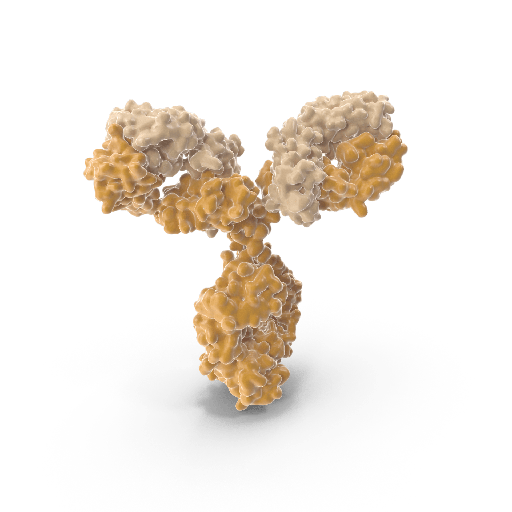 [0338-MAA831Hu21] Monoclonal Antibody to Thrombin/Antithrombin Complex (TAT)